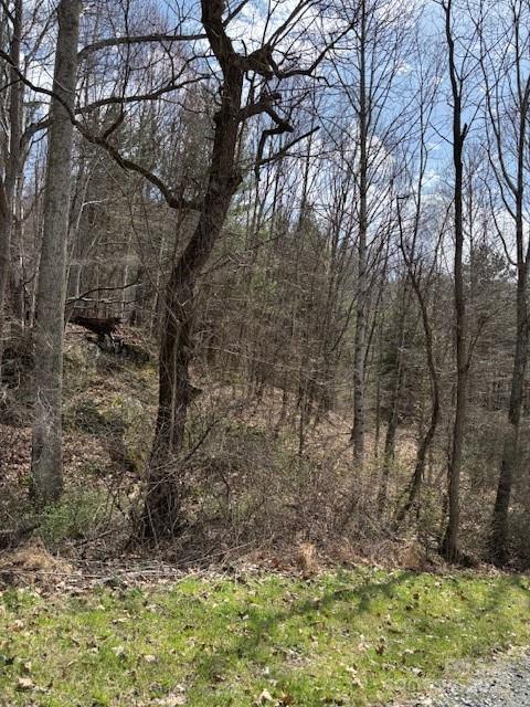 25 Green Meadow Lane Mars Hill NC 28754