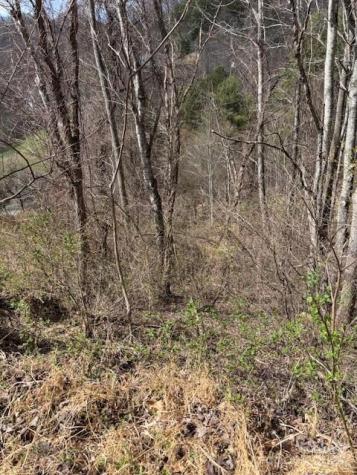 25 Green Meadow Lane Mars Hill NC 28754
