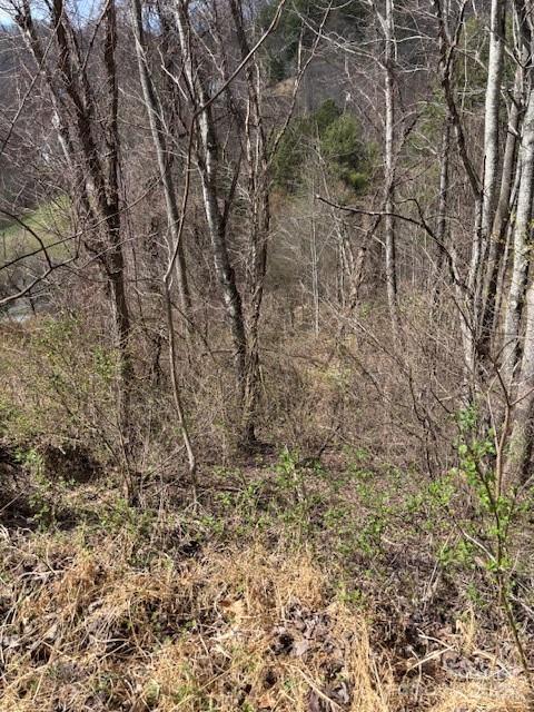 25 Green Meadow Lane Mars Hill NC 28754