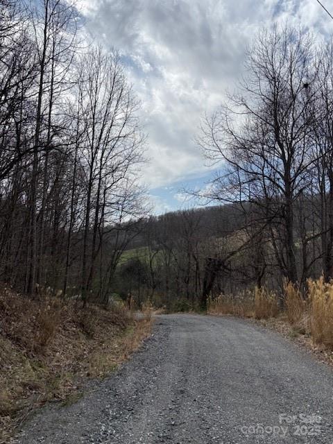 25 Green Meadow Lane Mars Hill NC 28754