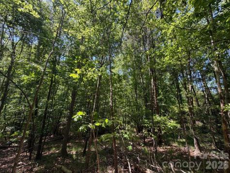 5 Ac Terry Drive Highway Union SC 29379