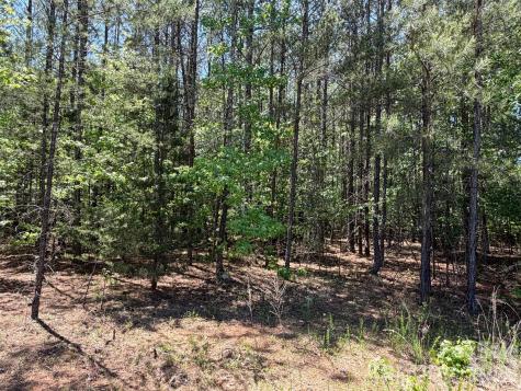 5 Ac Terry Drive Highway Union SC 29379