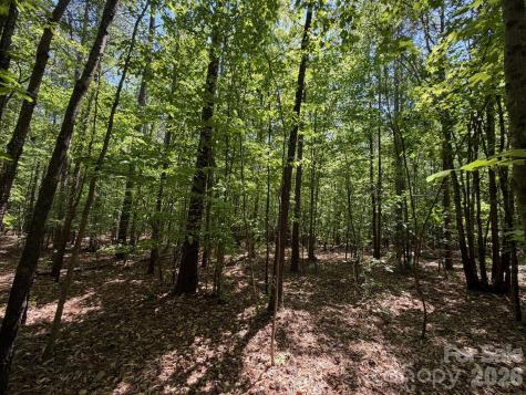 5 Ac Terry Drive Highway Union SC 29379
