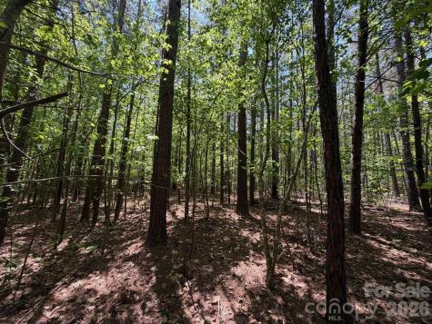 5 Ac Terry Drive Highway Union SC 29379