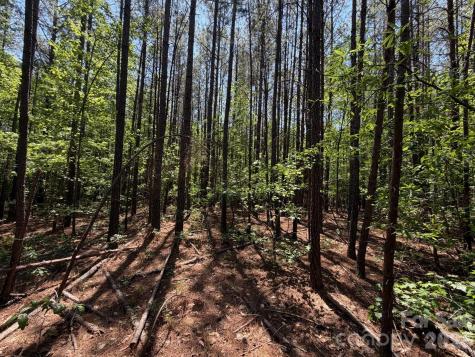 5 Ac Terry Drive Highway Union SC 29379