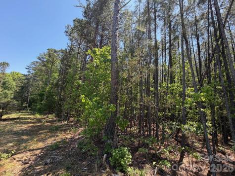5 Ac Terry Drive Highway Union SC 29379