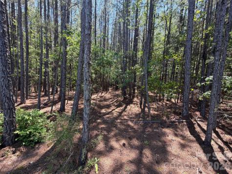 5 Ac Terry Drive Highway Union SC 29379