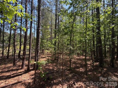 5 Ac Terry Drive Highway Union SC 29379