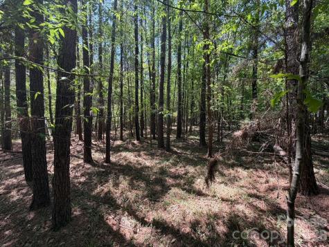 5 Ac Terry Drive Highway Union SC 29379