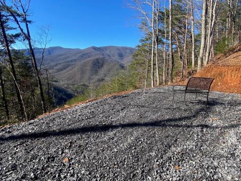 000 Blue Vista Road Canton NC 28716