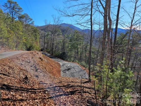 000 Blue Vista Road Canton NC 28716