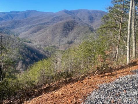 000 Blue Vista Road Canton NC 28716