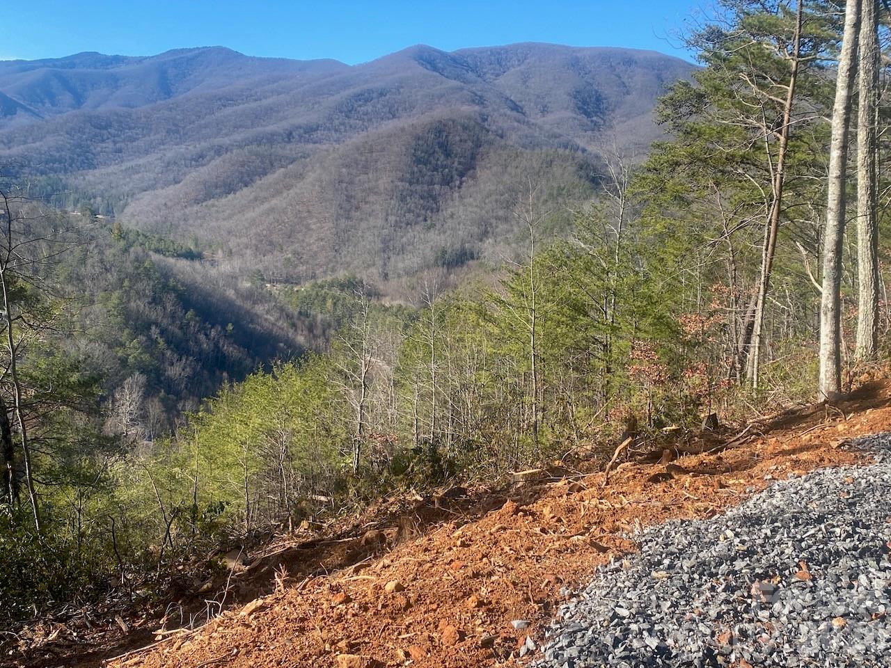 000 Blue Vista Road Canton NC 28716