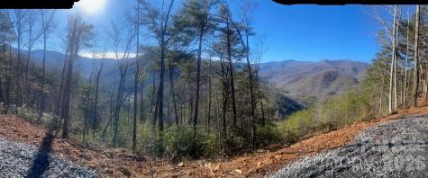 000 Blue Vista Road Canton NC 28716
