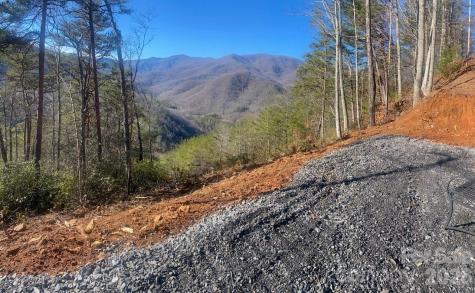 000 Blue Vista Road Canton NC 28716