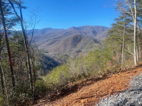 000 Blue Vista Road Canton NC 28716