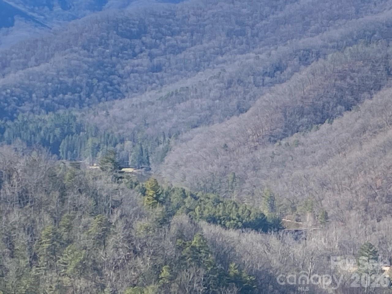 000 Blue Vista Road Canton NC 28716