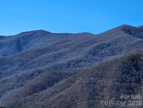 000 Blue Vista Road Canton NC 28716