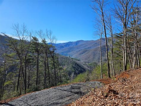 000 Blue Vista Road Canton NC 28716
