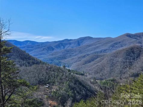 000 Blue Vista Road Canton NC 28716
