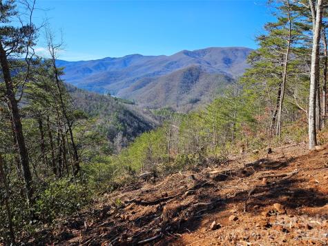 000 Blue Vista Road Canton NC 28716