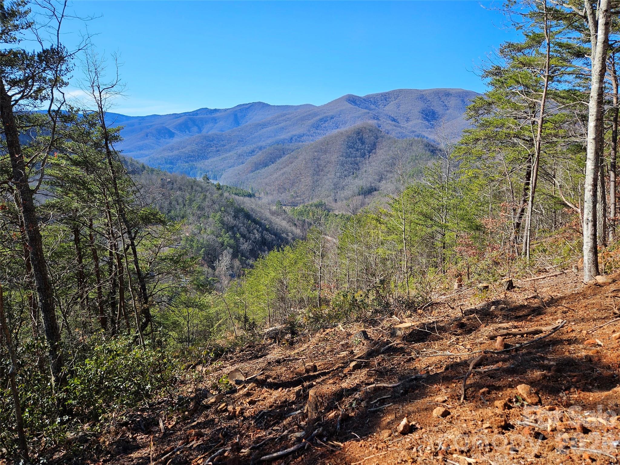 000 Blue Vista Road Canton NC 28716