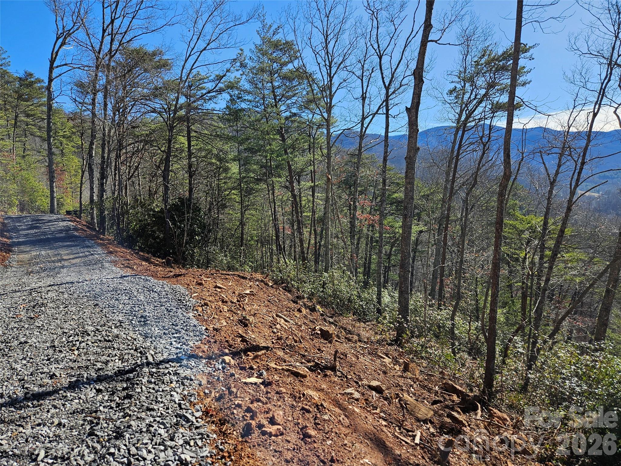 000 Blue Vista Road Canton NC 28716
