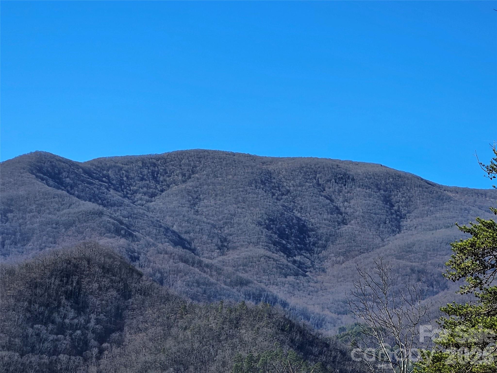 000 Blue Vista Road Canton NC 28716