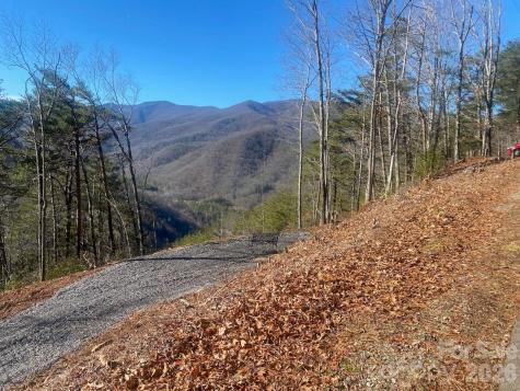000 Blue Vista Road Canton NC 28716