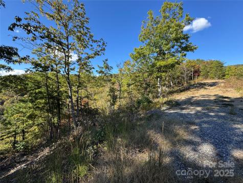 931 Mountainside Drive Bryson City NC 28713