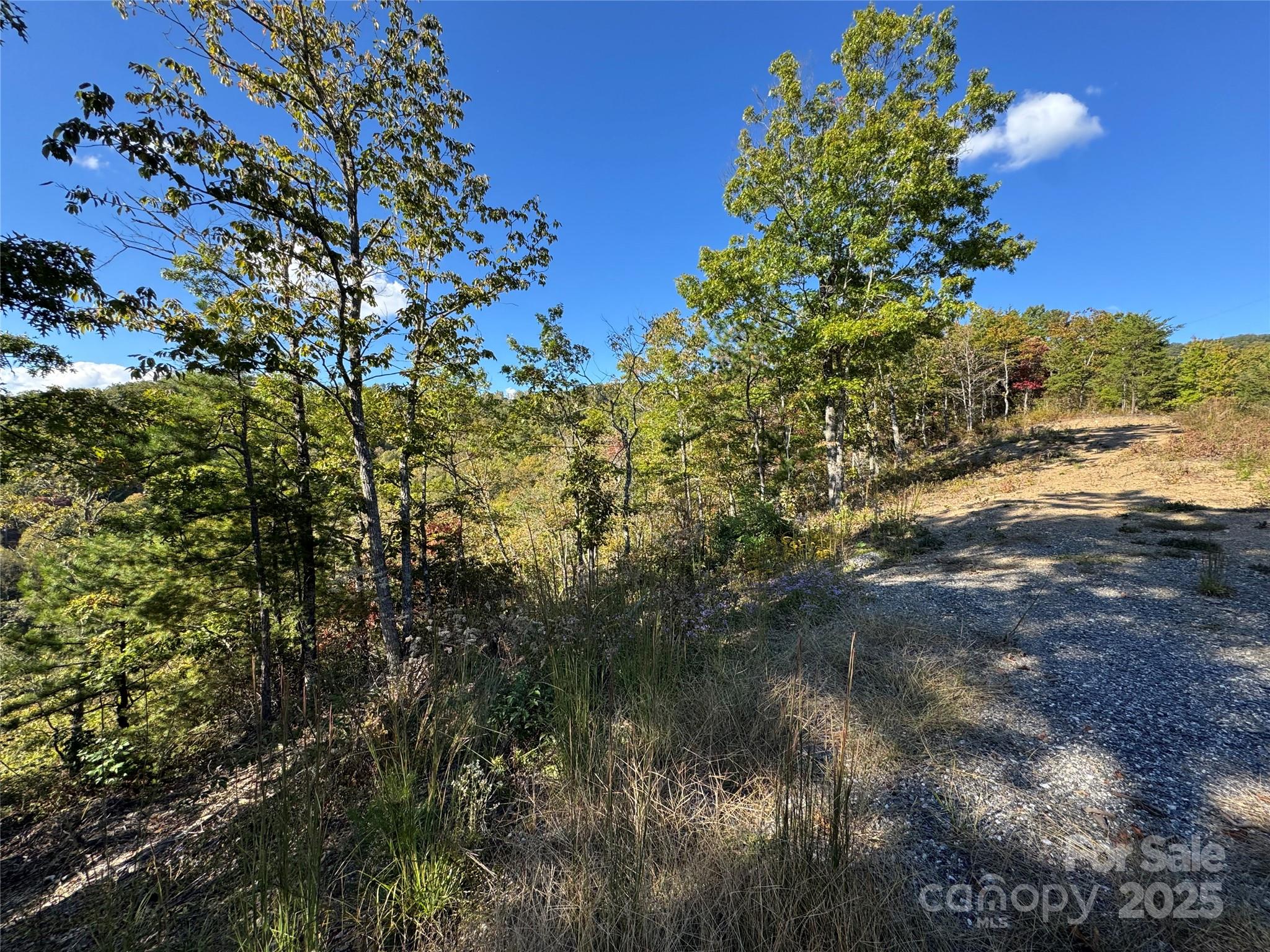 931 Mountainside Drive Bryson City NC 28713
