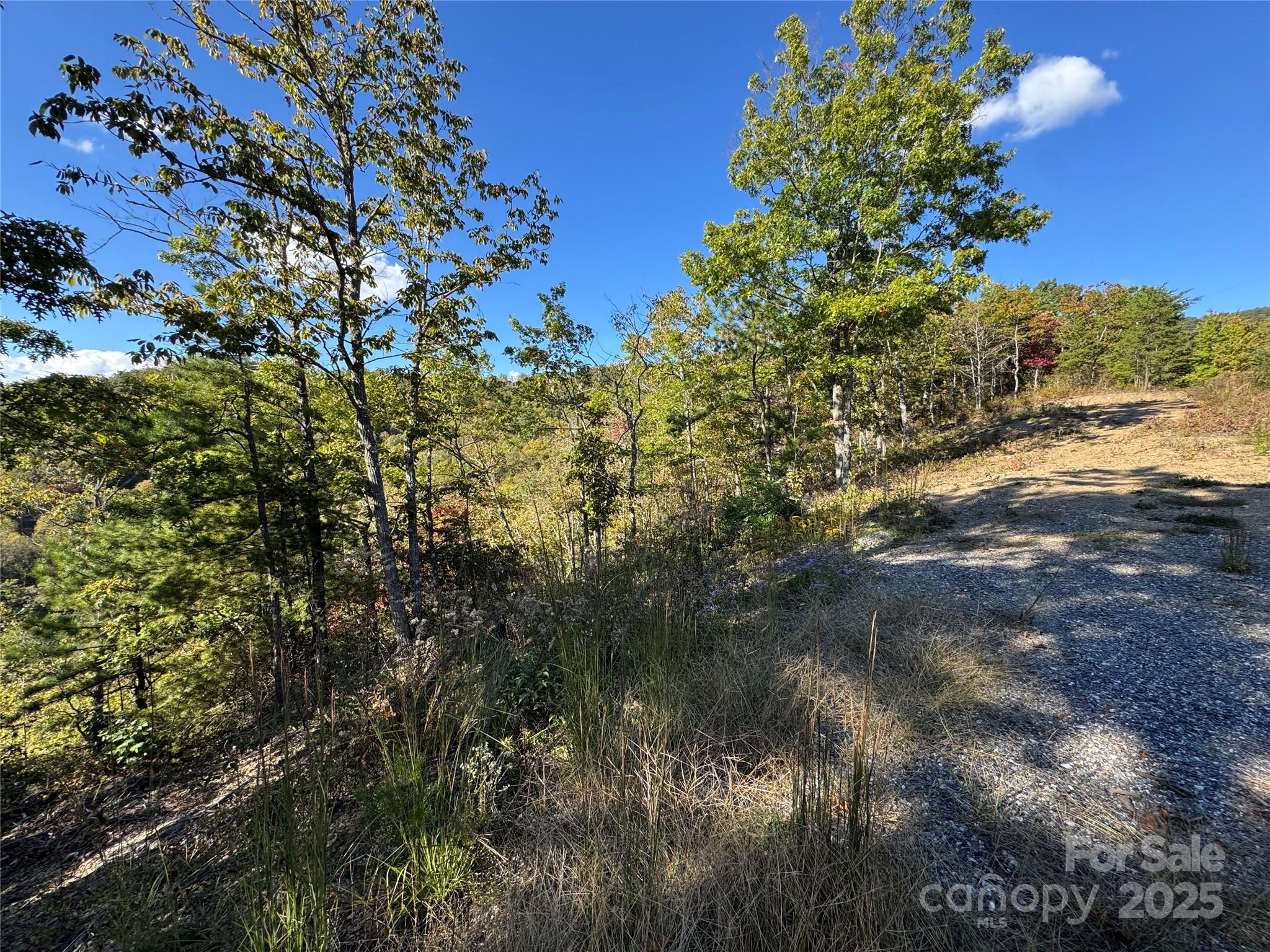 931 Mountainside Drive Bryson City NC 28713