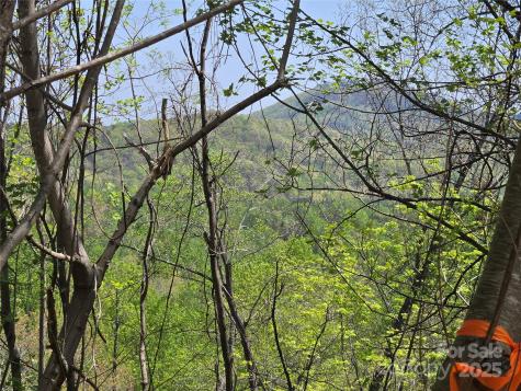 Lot 24 High Rock Ridge Lake Lure NC 28746