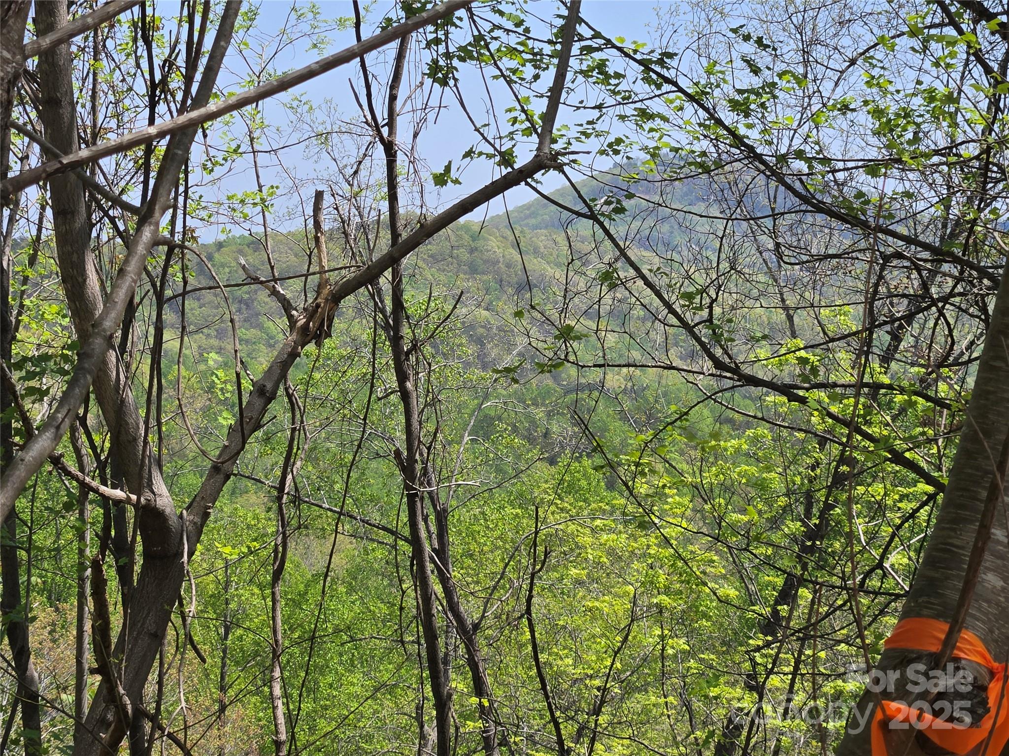 Lot 24 High Rock Ridge Lake Lure NC 28746