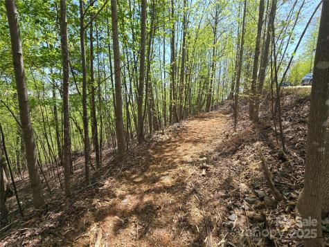 Lot 24 High Rock Ridge Lake Lure NC 28746