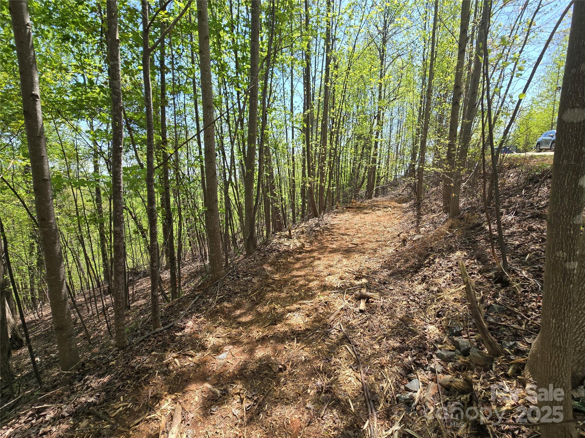 Lot 24 High Rock Ridge Lake Lure NC 28746