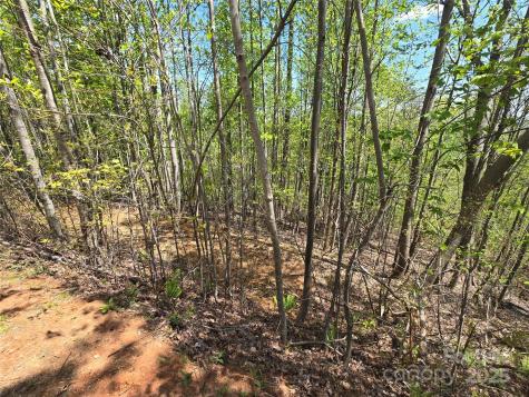 Lot 24 High Rock Ridge Lake Lure NC 28746