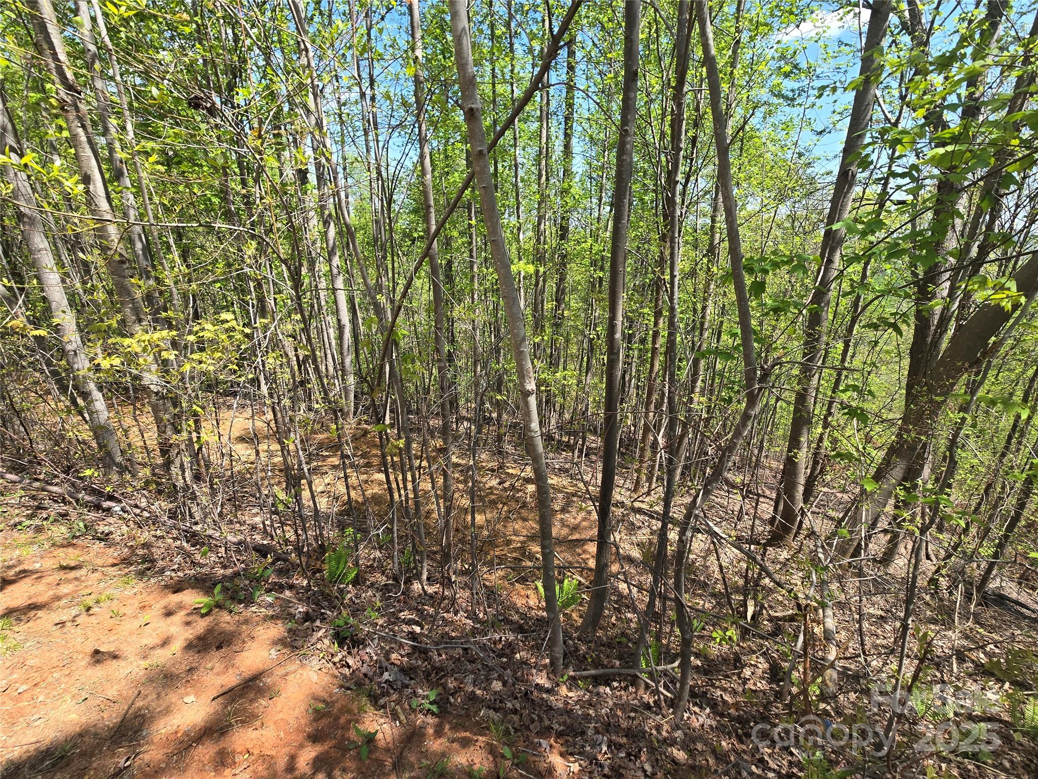 Lot 24 High Rock Ridge Lake Lure NC 28746