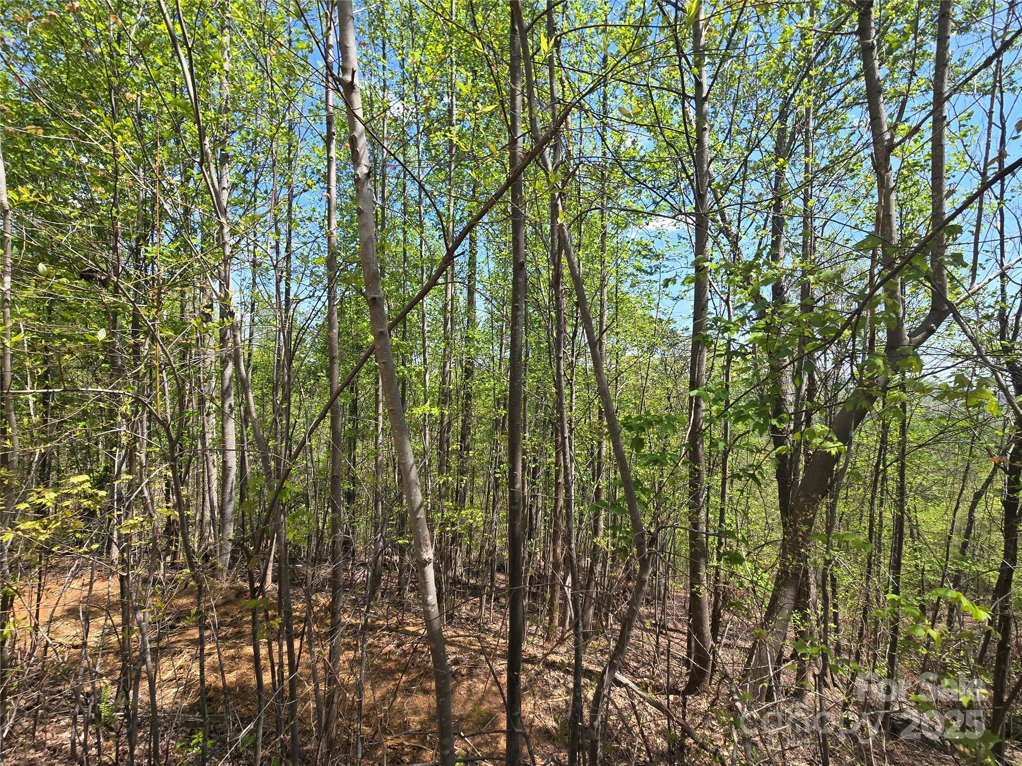 Lot 24 High Rock Ridge Lake Lure NC 28746