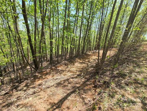 Lot 24 High Rock Ridge Lake Lure NC 28746