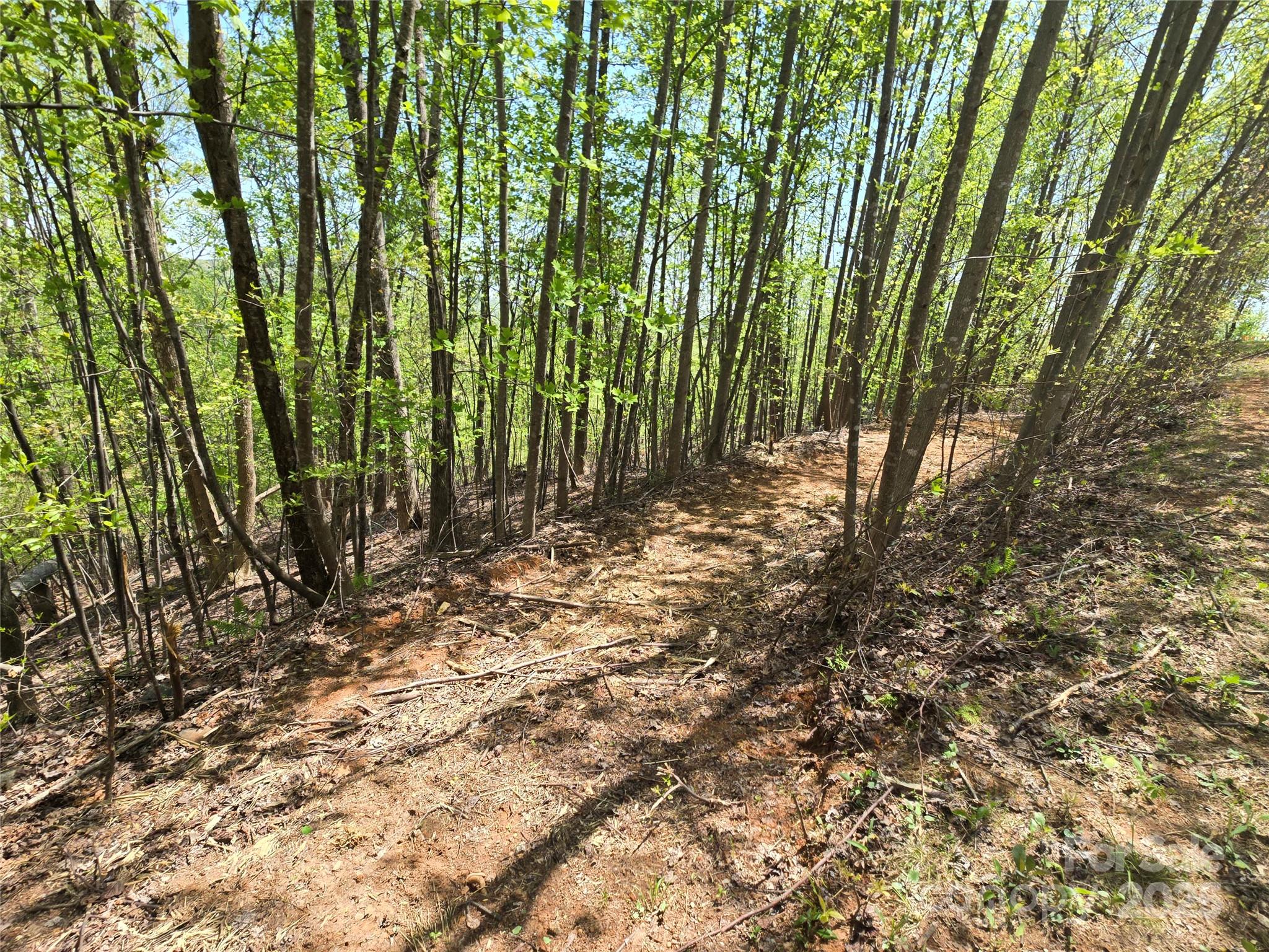 Lot 24 High Rock Ridge Lake Lure NC 28746