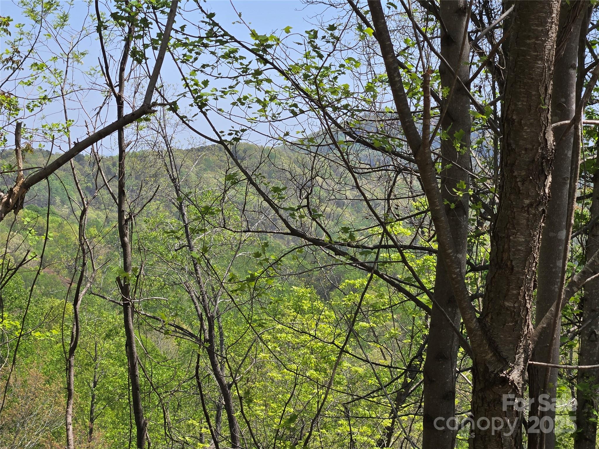 Lot 24 High Rock Ridge Lake Lure NC 28746