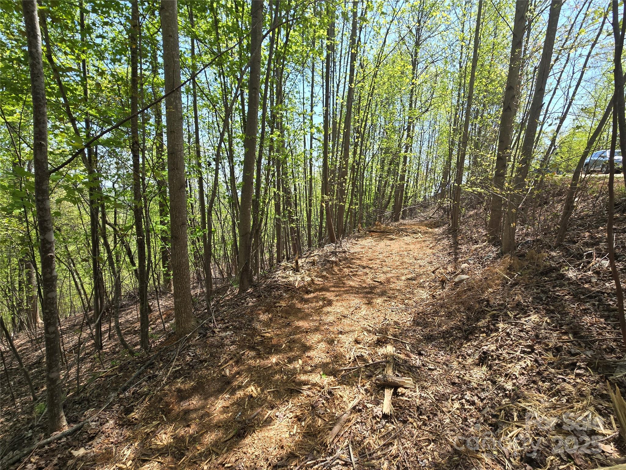 Lot 24 High Rock Ridge Lake Lure NC 28746