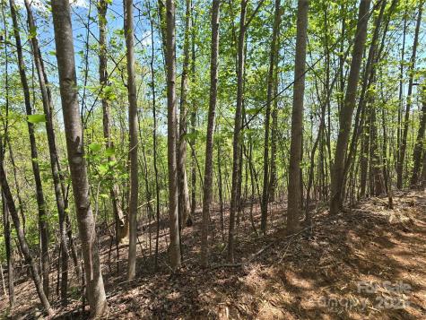 Lot 24 High Rock Ridge Lake Lure NC 28746