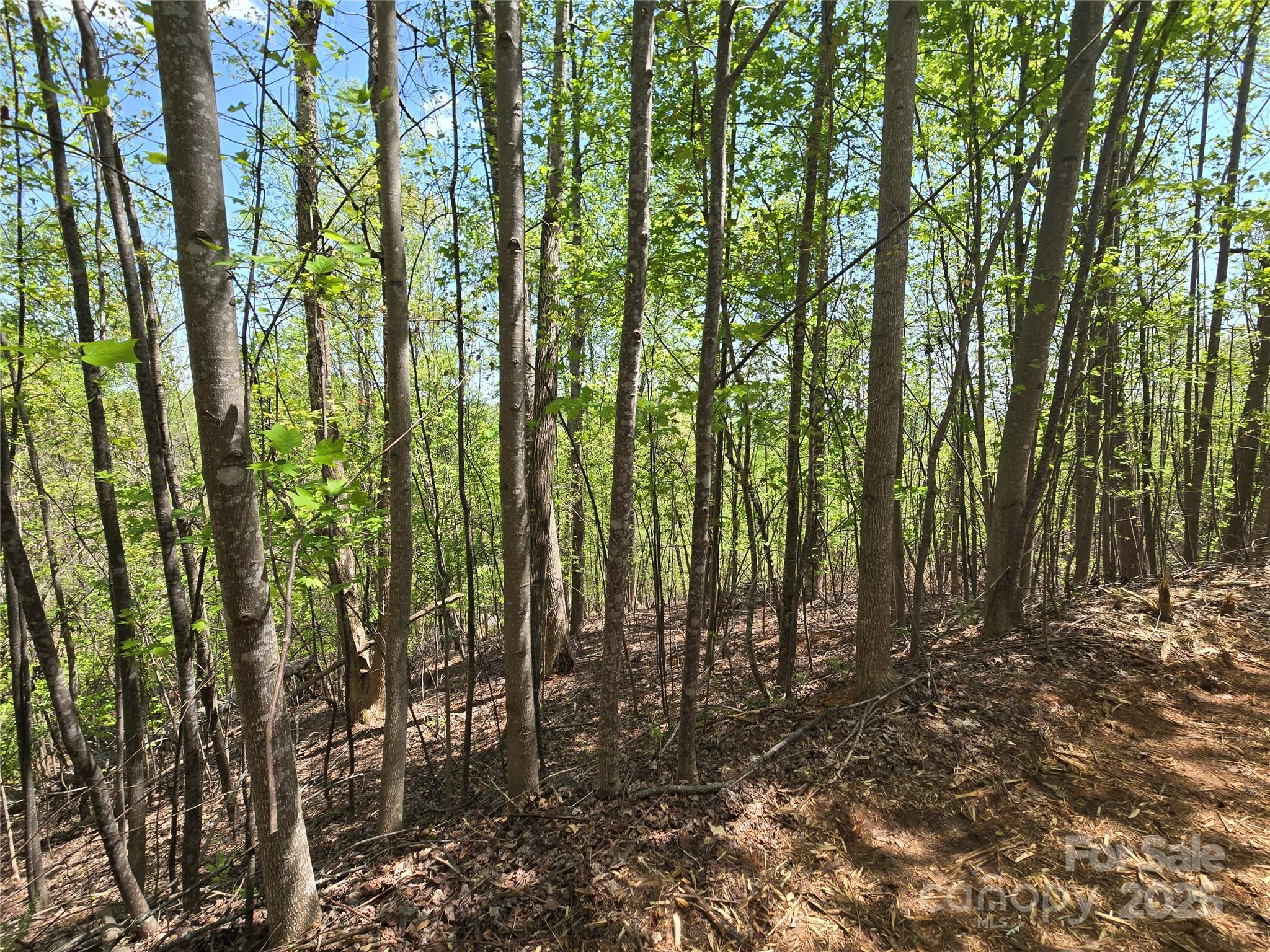 Lot 24 High Rock Ridge Lake Lure NC 28746