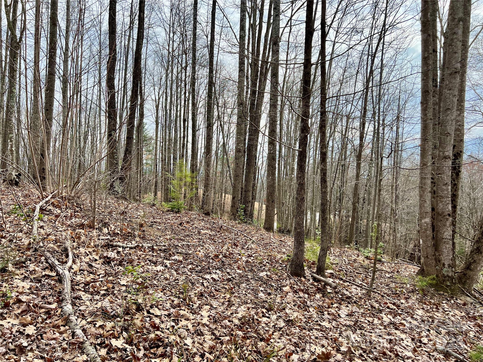 2.1 Acre Lot 930 Soaring Top Lane Lenoir NC 28645