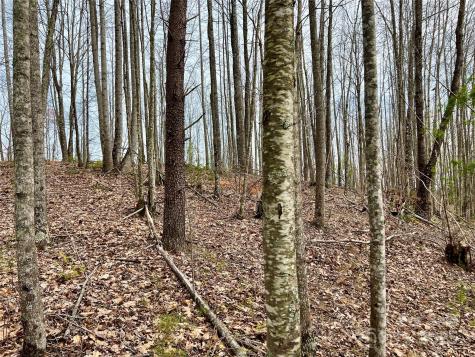 2.1 Acre Lot 930 Soaring Top Lane Lenoir NC 28645