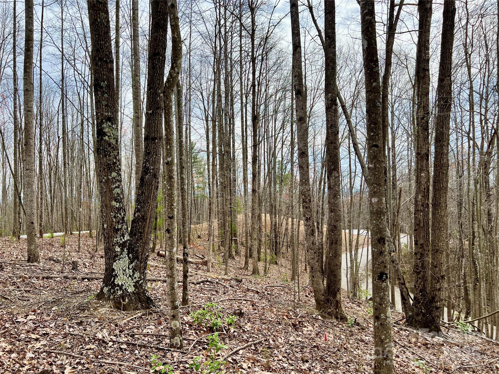 2.1 Acre Lot 930 Soaring Top Lane Lenoir NC 28645