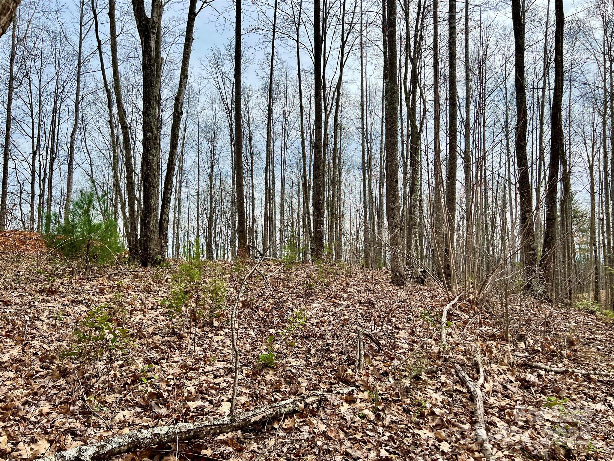 2.1 Acre Lot 930 Soaring Top Lane Lenoir NC 28645