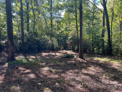 Tbd Blue Horse Lane Columbus NC 28722
